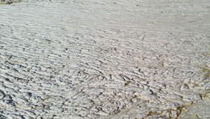 Müsilaj Marmarada etkili oluyor... İşte turizmcilerin değerlendirmeleri