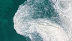 Son Dakika: Müsilaj Komisyonu üyeleri bu hafta belirlenecek