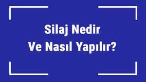 Silaj Nedir Ve Nasıl Yapılır Silaj Önemi, Yararları Ve Tarihçesi