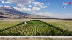 Ağrı Dağı eteklerindeki çorak araziyi vahaya dönüştürdü