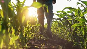 Kafalar karışık... Organik gıda ne demek Daha mı sağlıklılar | 8 SORU 8 YANIT