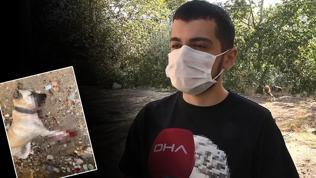 Tüyler ürperten olay: Gözümün önünde kesti Tüyler ürperten olay: Gözümün önünde kesti