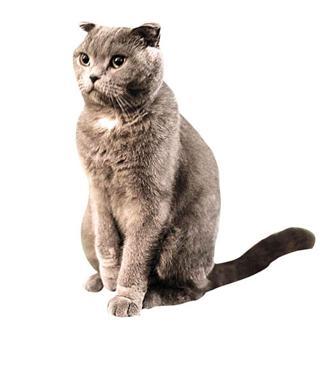 İkna edilmesi gereken 22 milyon 182 bin kişi