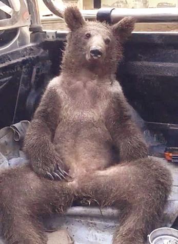 En alçak saldırı: Bayrağa saldırı