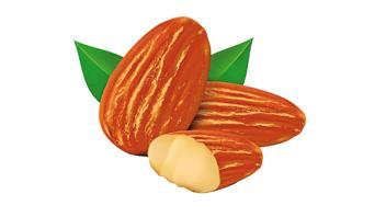 Akdeniz esintili yeni bir sistem