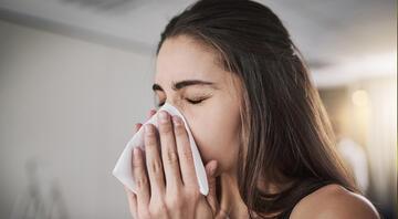alerjie ne iyi gelir ve nasil gecer alerji neden olur evde alerjiye iyi gelen bitkisel ve dogal yontemler