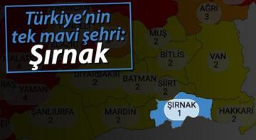 Tek mavi şehir: Şırnak Nasıl başardılar 28 gün karantina, ilk maske kuralı...