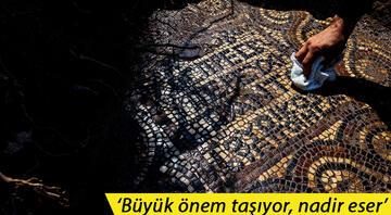 İzmirde 1500 yıllık mozaik bulundu Ulaşılması çok zor bir bölge