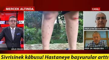 Sivrisinekler bu yıl neden daha fazla Uzmanlar CNN Türk ekranlarında uyardı