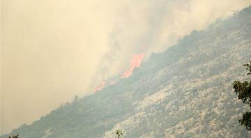 Antalyanın Gündoğmuş ve Alanyadaki orman yangınları kontrol altına alınmaya çalışılıyor Mahalleler boşaltıldı