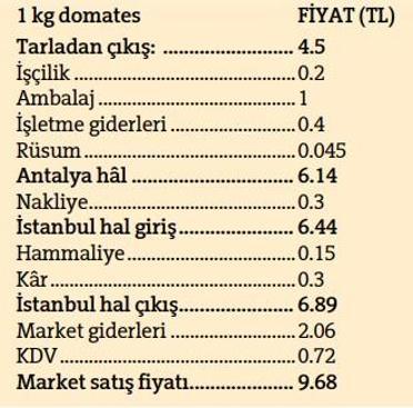 Tarladan markete fiyat yolculuğu