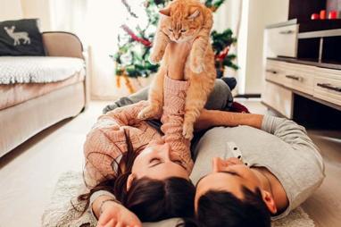 İdeal sağlıklı ilişki nedir