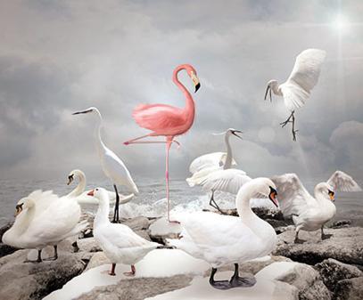 Godfather aşkına gittim Nobu’ya