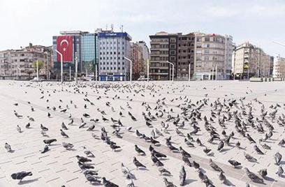 Bizi Türk hekimlerine emanet ediniz