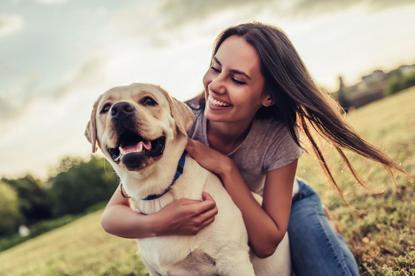 Dişi Köpeklerde Kızgınlık Dönemi