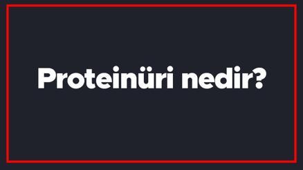 idrar yolu enfeksiyonu haberleri son dakika idrar yolu enfeksiyonu hakkinda guncel haber ve bilgiler idrar yolu enfeksiyonu haberleri son dakika idrar yolu enfeksiyonu hakkinda guncel haber ve bilgiler