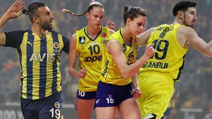 Fenerbahce Opet Haberleri Son Dakika Fenerbahce Opet Hakkinda Guncel Haber Ve Bilgiler