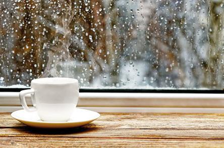 Şenol Güneş için yazdım: Ne zaman istifa edilir ne zaman istifa edilmez