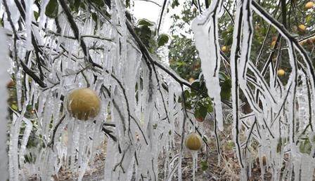 ABD görülmemiş felaketi yaşıyor: Teksas eyaleti dondu, milyonlarca insan etkilendi! 