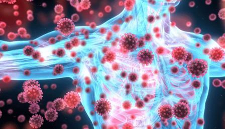 Bağışıklık sistemi nasıl güçlendirilir? İşte bağışıklık sistemini güçlendiren besinler Bağışıklık sistemi nasıl güçlendirilir? İşte bağışıklık sistemini güçlendiren besinler