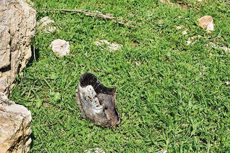 Beş köylü ve Helin Bölek bağlamında sorduğum sorular