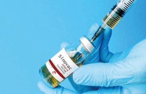 Puslu havanın çakalı