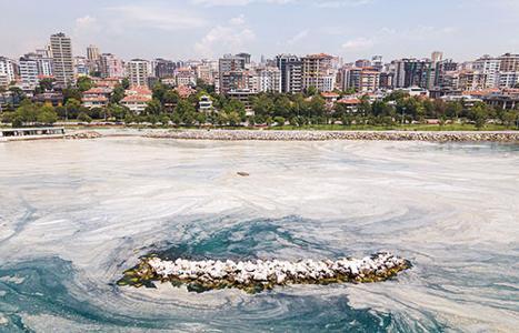 İçimizdeki müsilaja dikkat