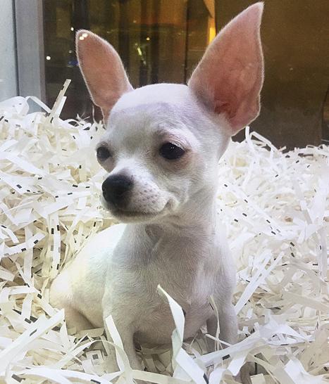 Boguluyorum Imdat Son Dakika Haberleri Internet Boguluyorum Imdat Son Dakika Haberleri Internet