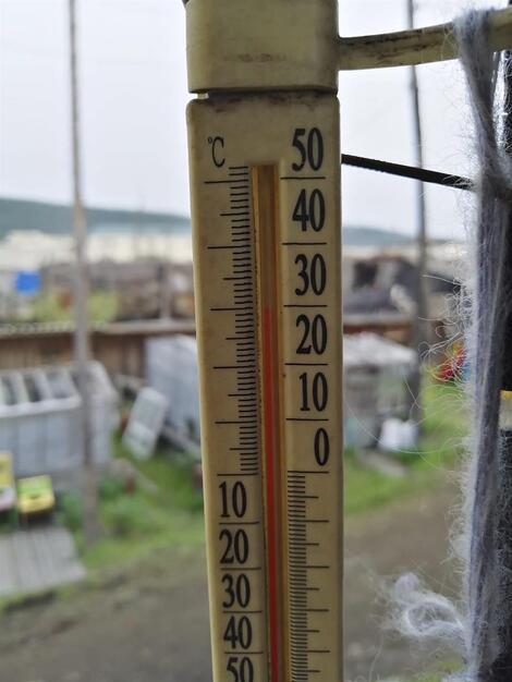 Sibirya'da rekor sıcaklık ölçüldü: 38 derece