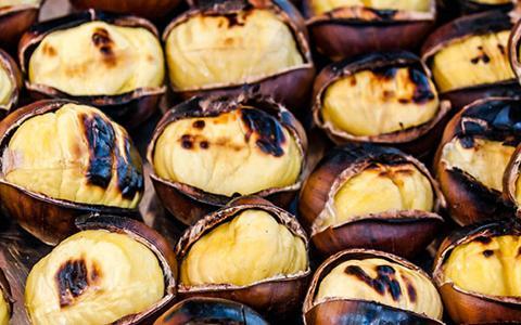 kestanenin bitmeyen faydalari nelerdir kestane neye faydali zararlari nelerdir