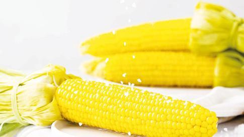 Bolivya dağlarından gelen devrimci Zülfü