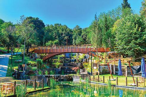 İstanbul’un en güzel parkı: Nakkaştepe Millet Bahçesi