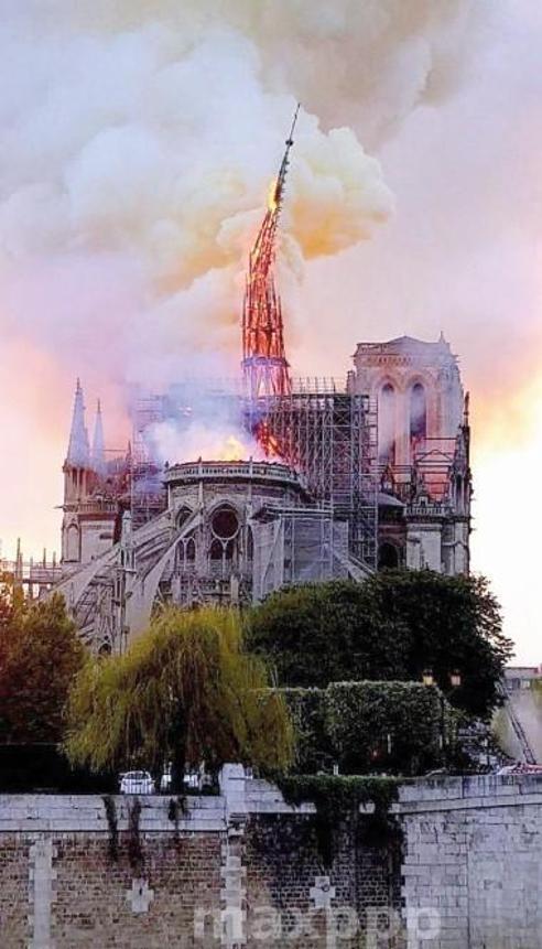 Gökova arıları Notre Dame’ın 200 bin arısı kadar şanslı mıydı