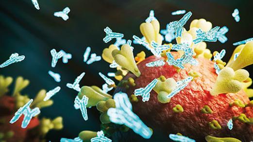 Antikor mu T hücresi mi