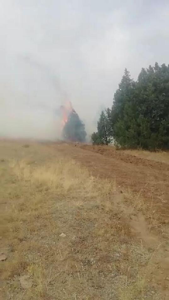 Erzincan’da orman yangını: Ekipler bölgeye sevk edildi