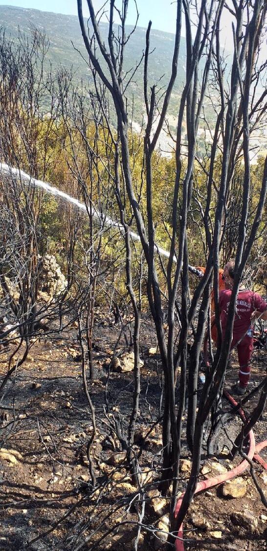 Antalyada 5 saat süren makilik yangını: 10 hektar alan kül oldu