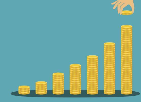 Altin Yatirim Girisimci Ziraat Bankasi