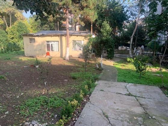 Son dakika haberleri...Yeşilköyde kanlı arazi çatışması Vurun dedi, silahlar ateşlendi