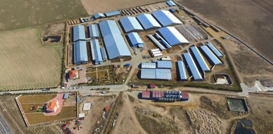 Çiftlik Banktan sonra Sütbank da battı