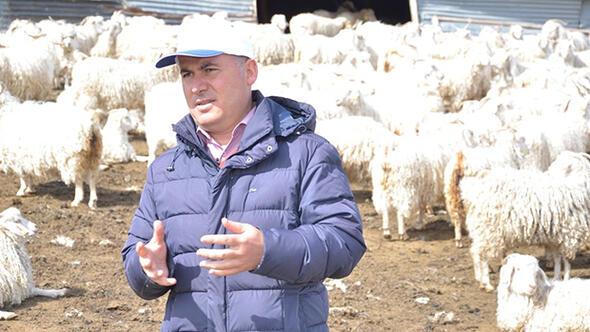 Ankara Haberleri 'Koyun eti danadan daha ucuz' Yerel Haberler