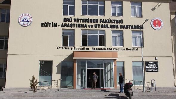 kayseri haberleri veterinerlik fakultesinde yangin korkusu yerel haberler