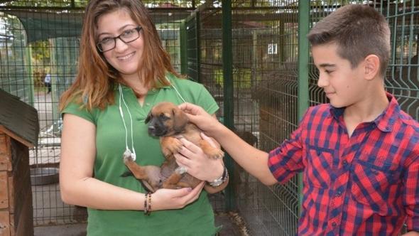 Osmaniye Haberleri 4 Ekim Dunya Hayvanlari Koruma Gunu Etkinligi Yerel Haberler