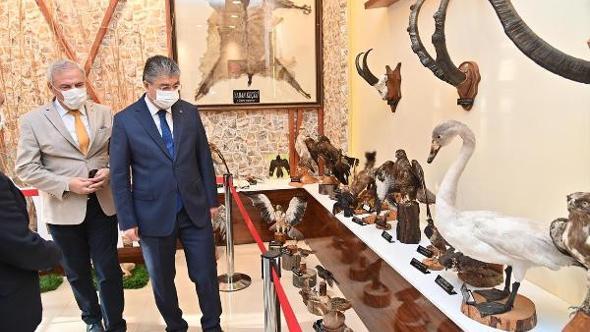 Yaban hayatının, hayvan tahnitleri ile tanıtıldığı merkezde inceleme