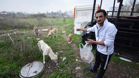 Sokak köpeklerinin bakılacağı yuva istiyor