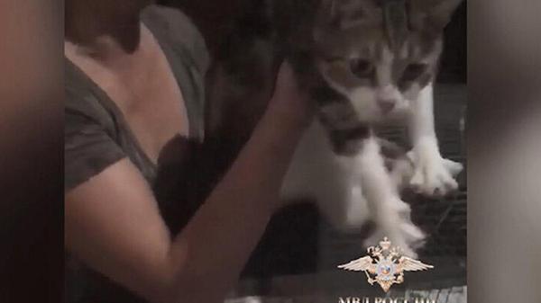 Uyuşturucu kuryesi kedi, tutulduğu hayvanat bahçesinden kaçtı