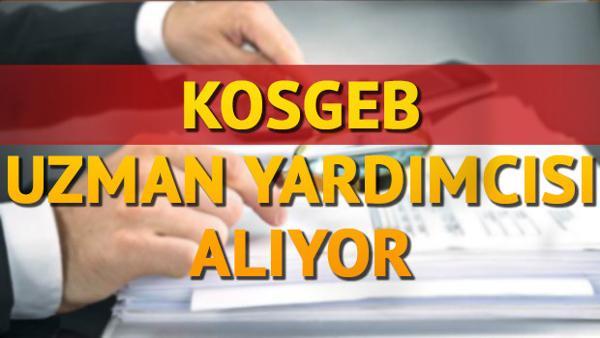 Kosgeb Personel Alimi Icin Sartlari Duyuruldu Kobi Uzman Yardimcisi Alinacak