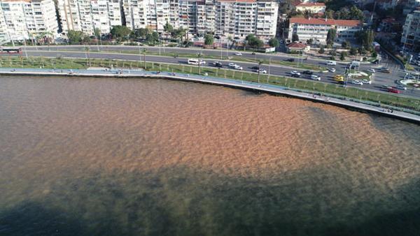 Şaşırtan görüntü! İzmir Körfezi bu hale geldi Şaşırtan görüntü! İzmir Körfezi bu hale geldi