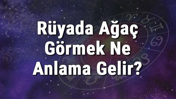 ruyada agac gormek ne anlama gelir ruyada agac dikmek ya da kesmek anlami mahmure ruyada agac gormek ne anlama gelir ruyada agac dikmek ya da kesmek anlami mahmure