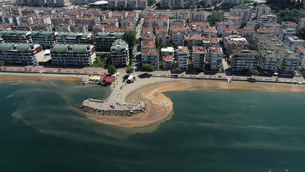Marmara Denizi'nin rengi değişti Marmara Denizi'nin rengi değişti