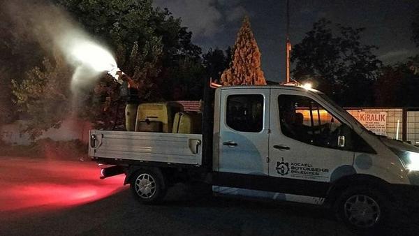 Kocaeli'de 3 ilçeyi böcekler istila etti Kocaeli'de 3 ilçeyi böcekler istila etti